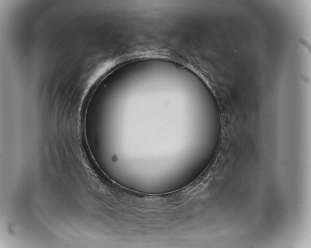 X0000098030008200804111333