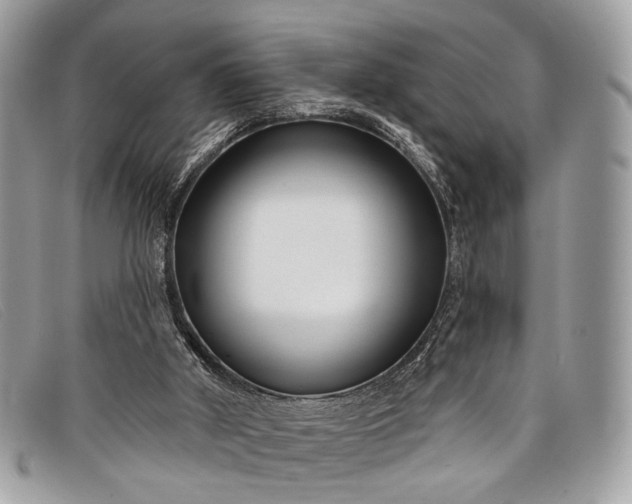 X0000098030010200804111333