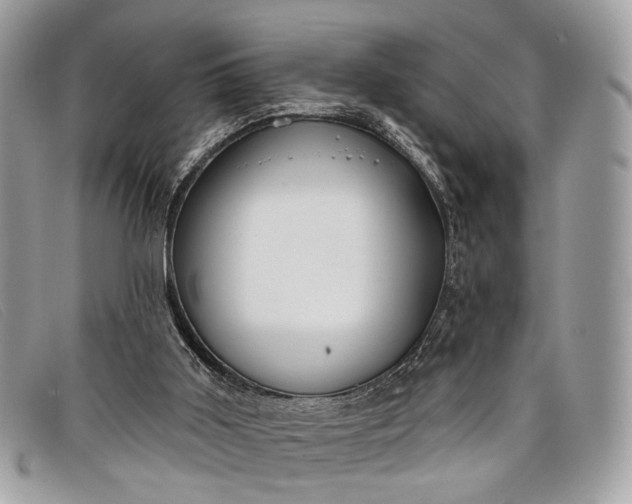 X0000098030011200804111333