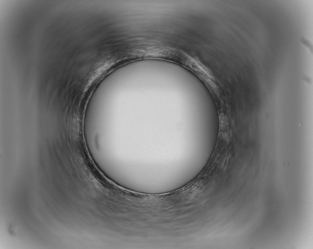 X0000098030012200804111333