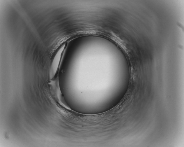 X0000098030013200804111333