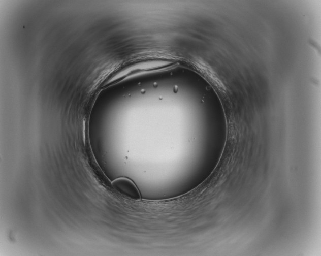 X0000098030014200804111333