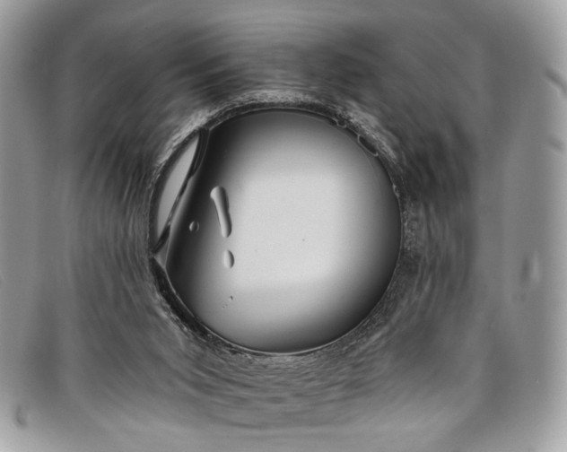 X0000098030015200804111333