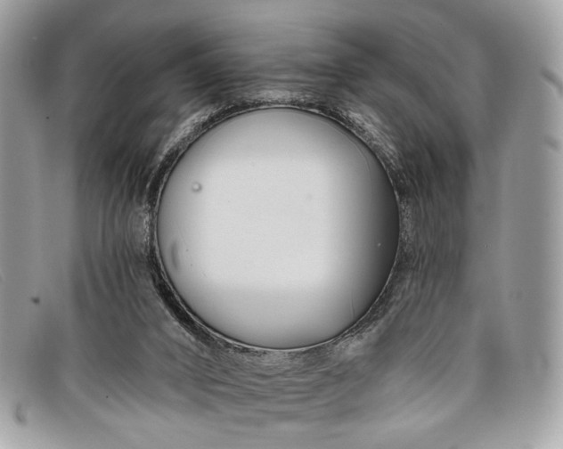 X0000098030016200804111333