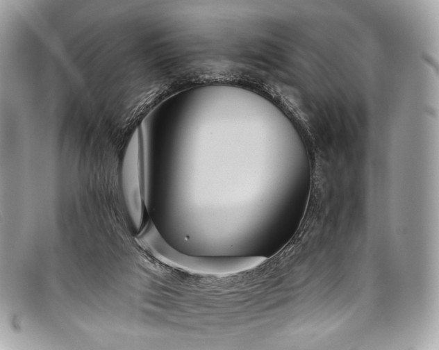 X0000098030017200804111333