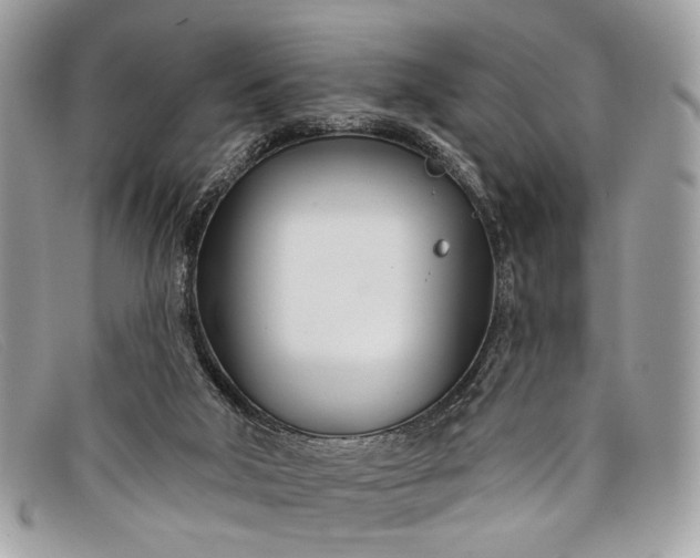 X0000098030018200804111333