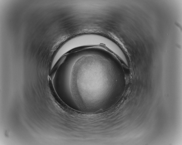 X0000098030019200804111333