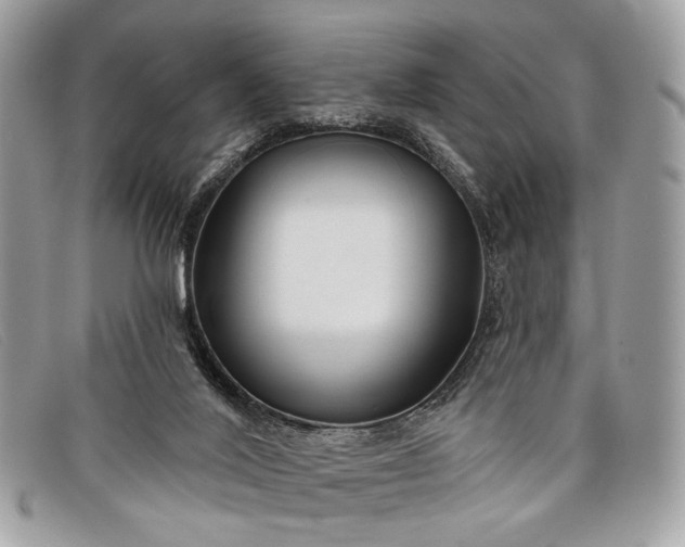 X0000098030020200804111333