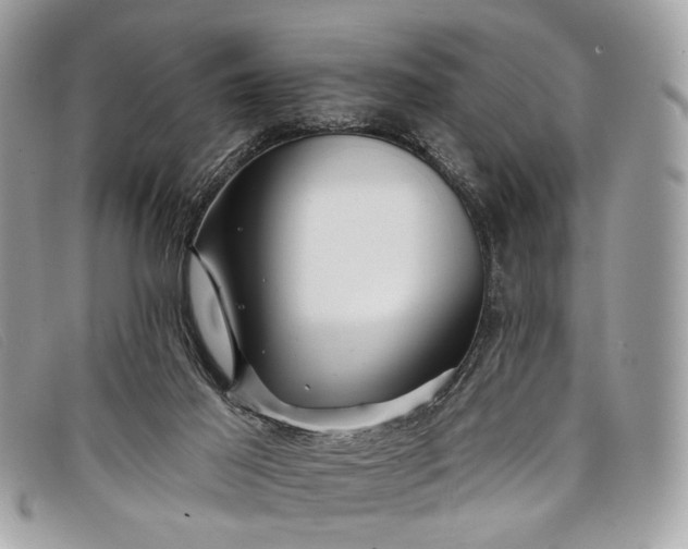 X0000098030021200804111333