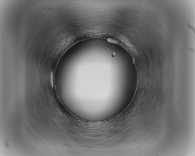 X0000098030022200804111333