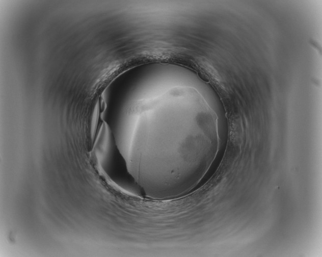 X0000098030023200804111333