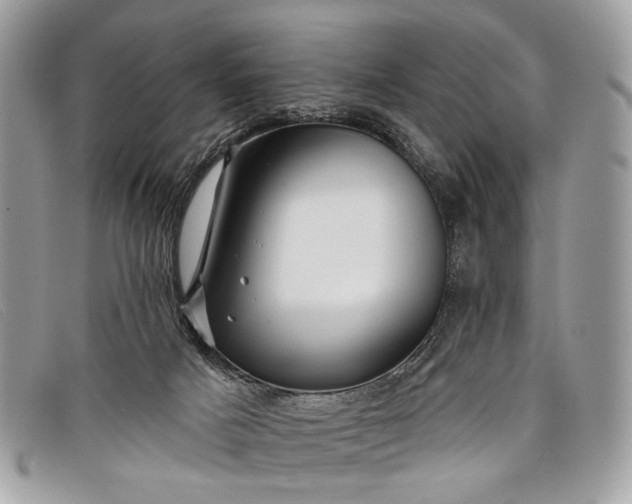 X0000098030025200804111333