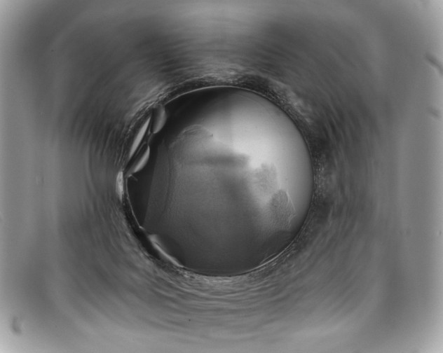 X0000098030027200804111333