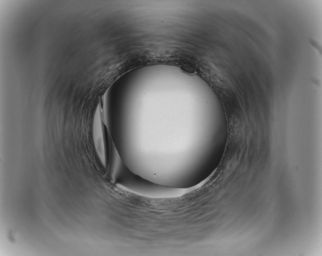 X0000098030033200804111333