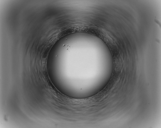 X0000098030034200804111333