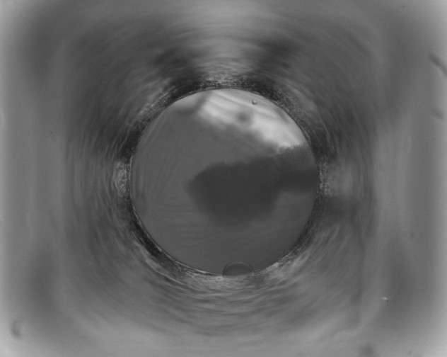 X0000098030036200804111333