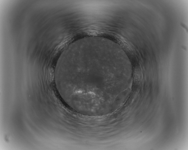 X0000098030043200804111332