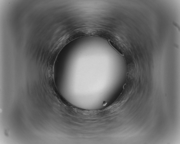 X0000098030044200804111332