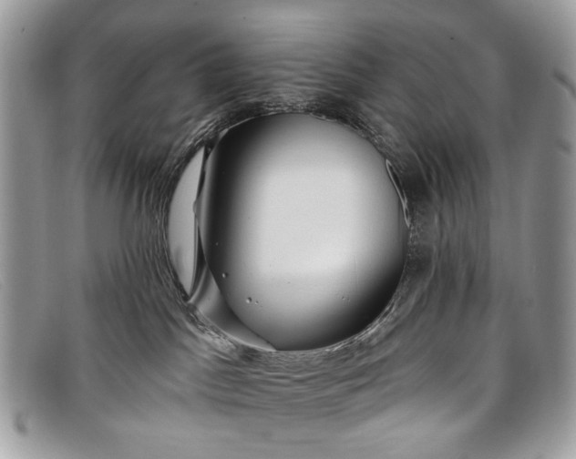 X0000098030045200804111332