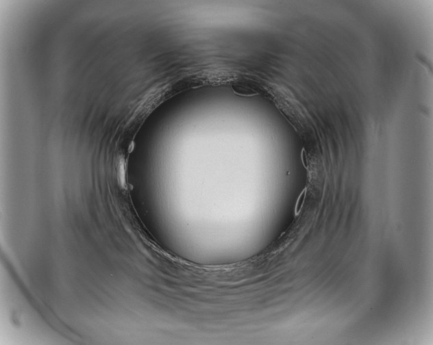 X0000098030046200804111332