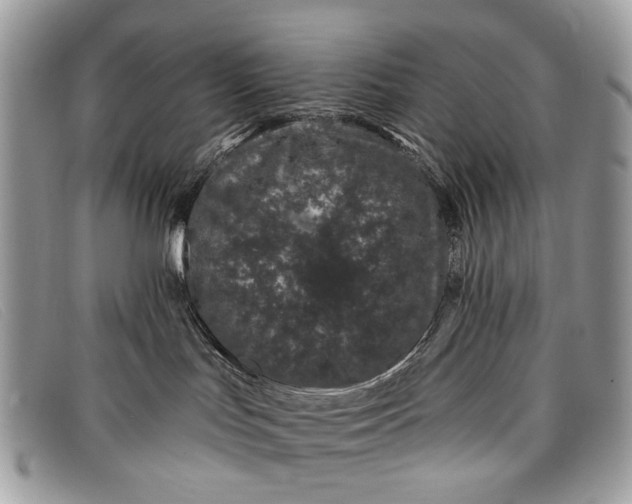 X0000098030047200804111332