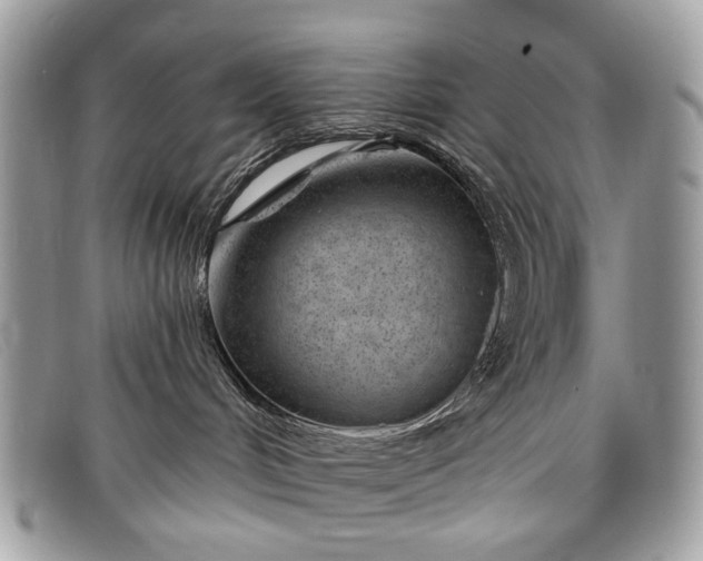 X0000098030048200804111332