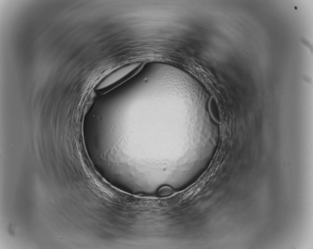 X0000098030049200804111332