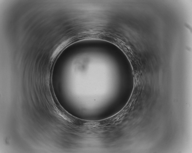 X0000098030051200804111332