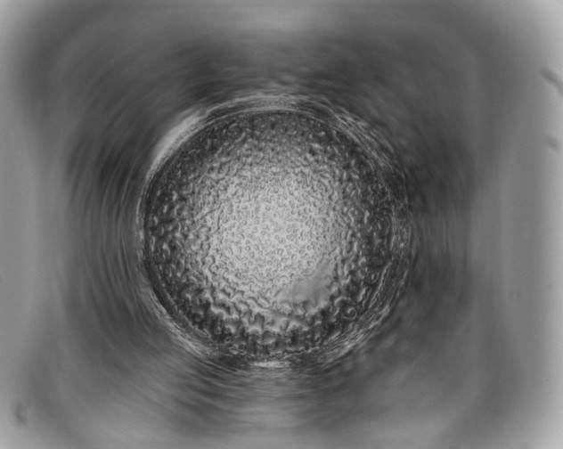 X0000098030053200804111332