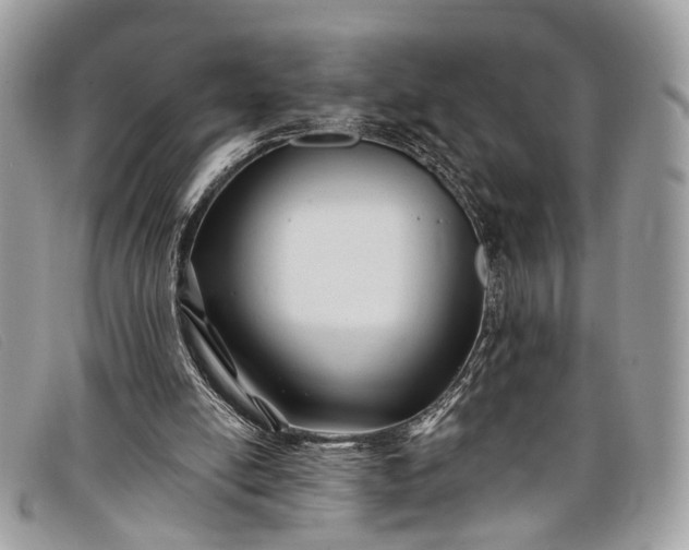 X0000098030054200804111332