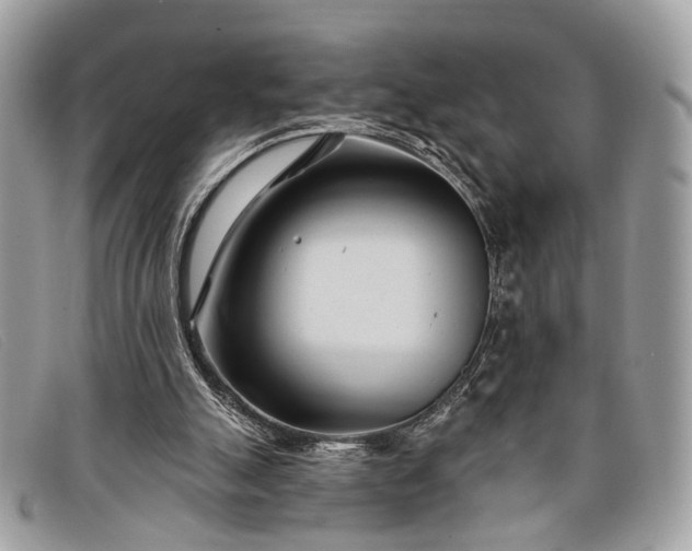 X0000098030055200804111332