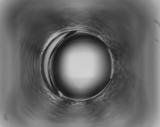 X0000098030056200804111332