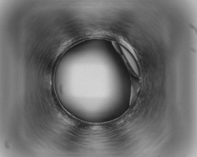 X0000098030059200804111332