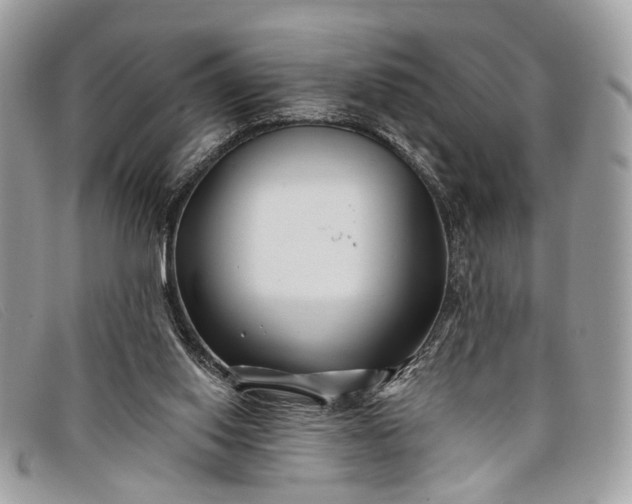 X0000098030062200804111332