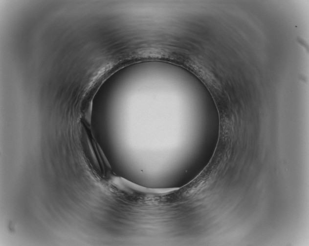 X0000098030064200804111332