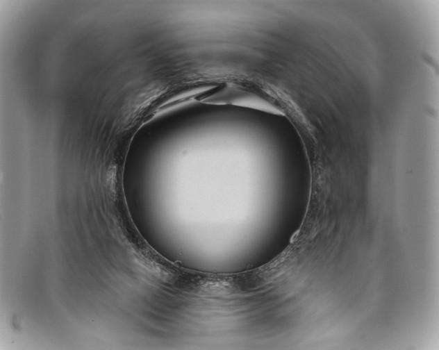 X0000098030066200804111332