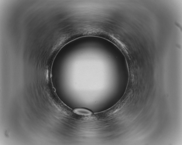 X0000098030067200804111332