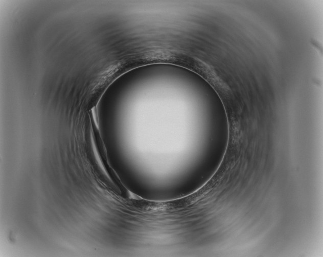 X0000098030068200804111332