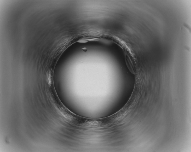 X0000098030069200804111332