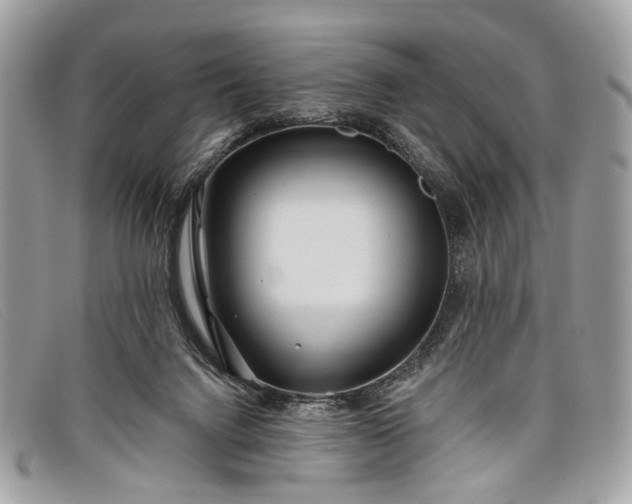 X0000098030072200804111332