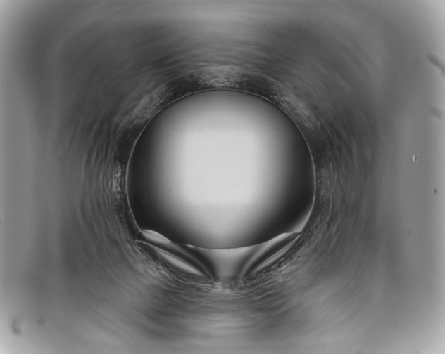 X0000098030073200804111332