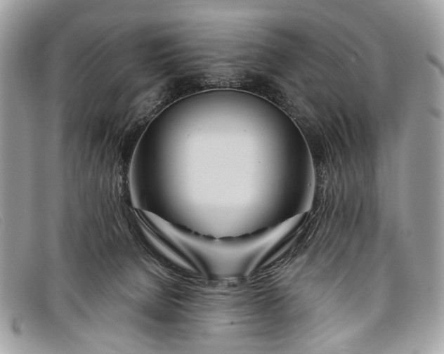 X0000098030080200804111332