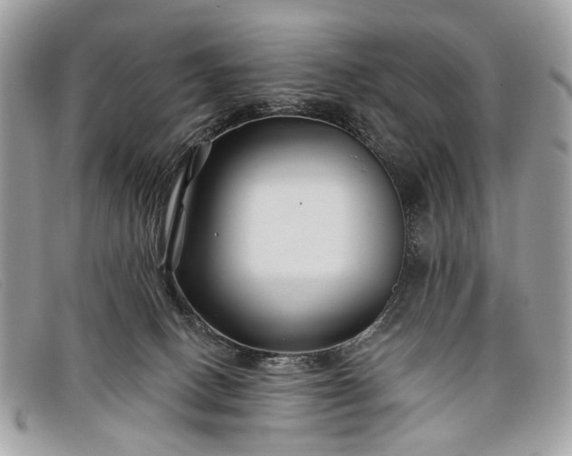 X0000098030082200804111332