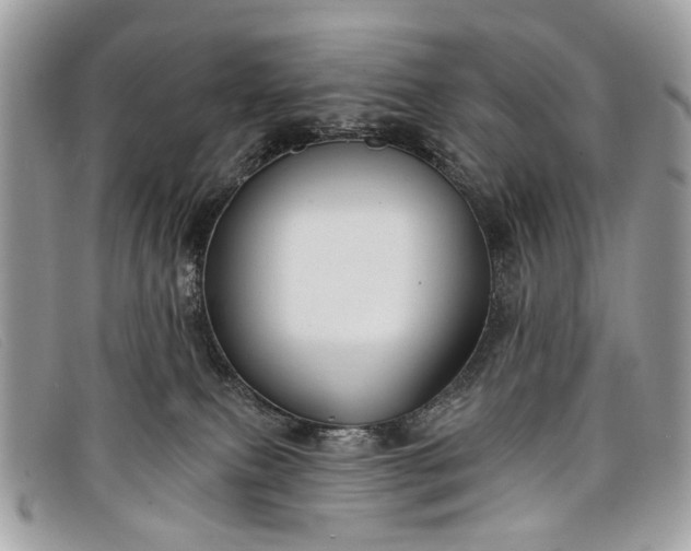 X0000098030087200804111332