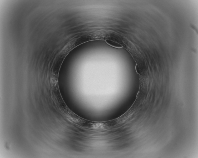 X0000098030091200804111332