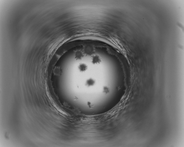 X0000098030097200804111332