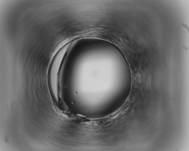 X0000098030100200804111332