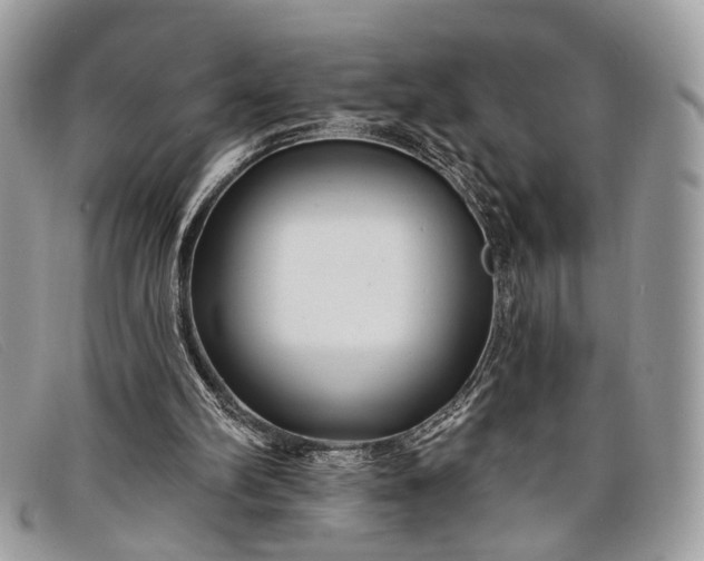 X0000098030102200804111332