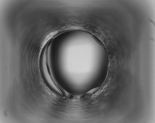 X0000098030104200804111332