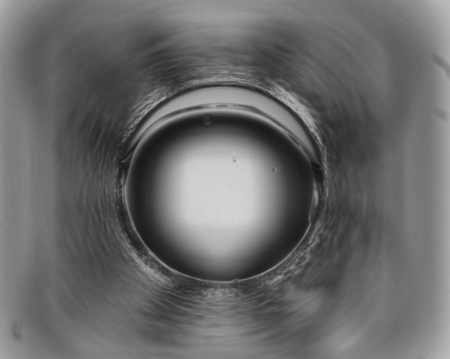 X0000098030105200804111332